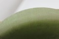 IMG_8971.jpg