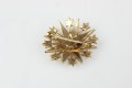 IMG_4355.jpg
