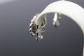 IMG_6169.jpg