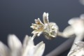 IMG_8025.jpg